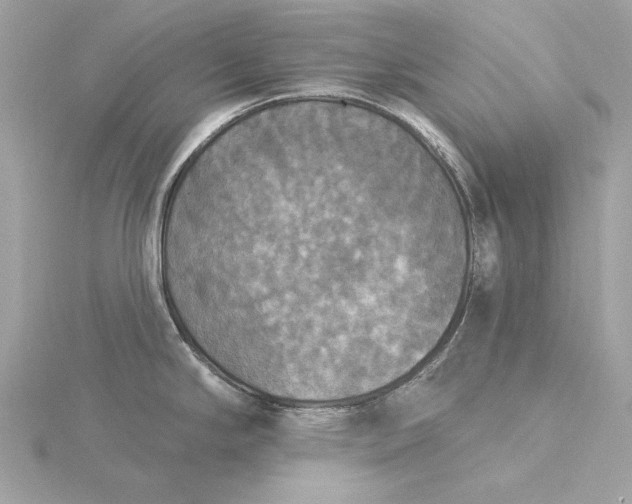 X0000116031294200912041927