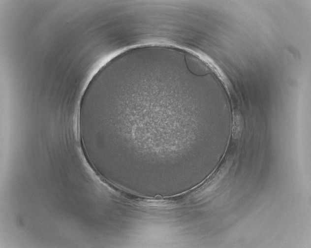 X0000116031295200912041927