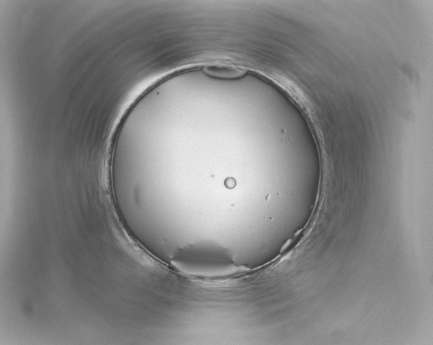 X0000116031296200912041927