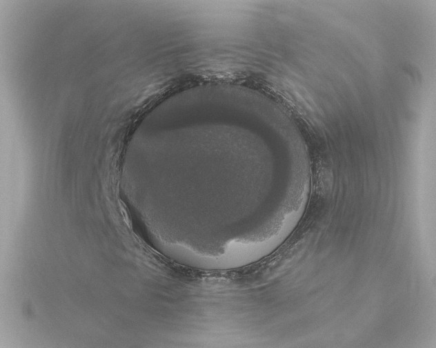 X0000116031297200912041926