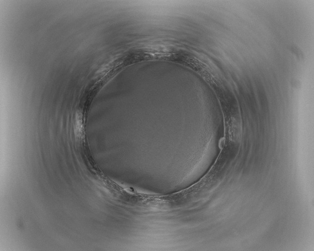 X0000116031298200912041926