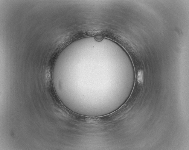 X0000116031299200912041926