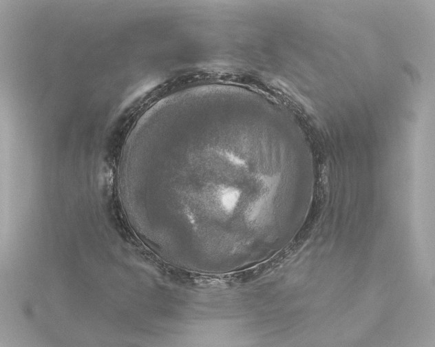 X0000116031302200912041926