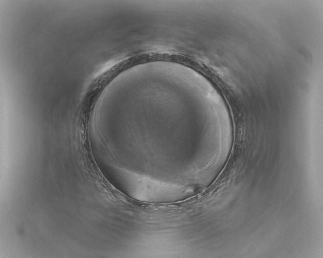 X0000116031303200912041926