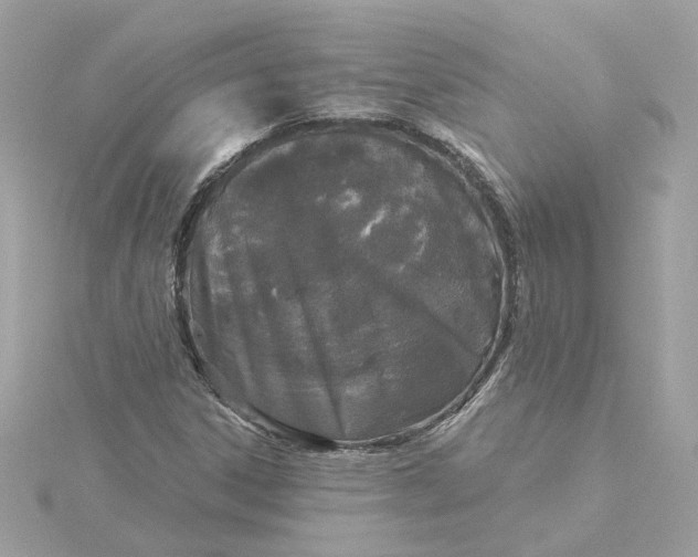 X0000116031306200912041926