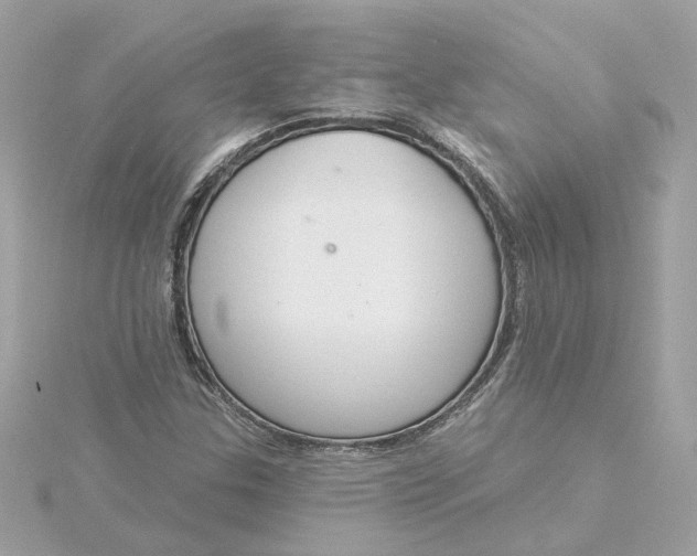 X0000116031307200912041926