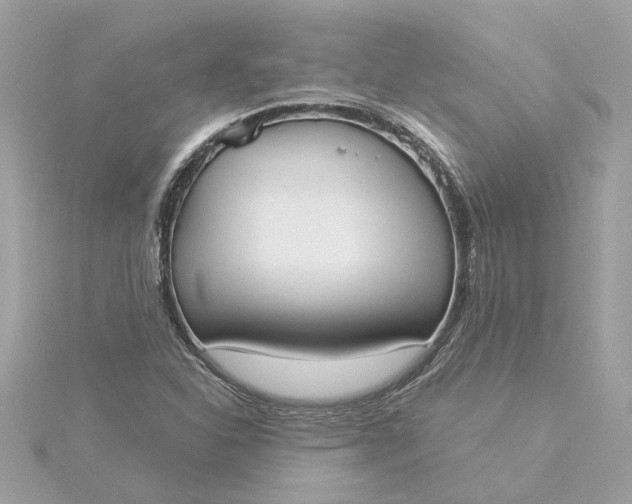 X0000116031310200912041926