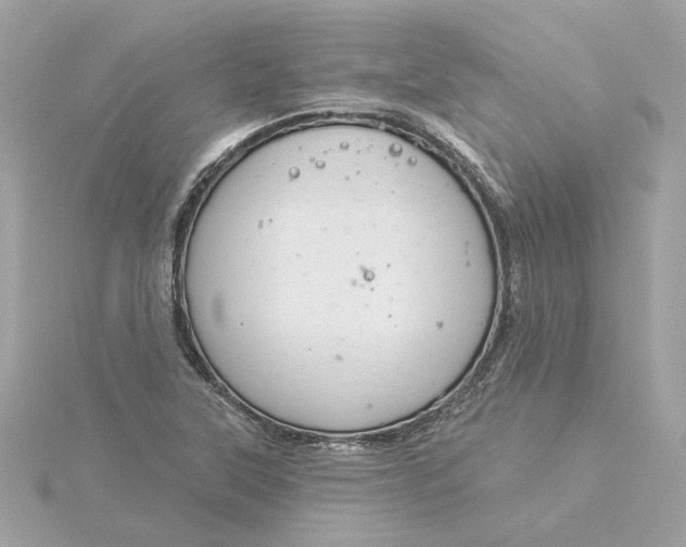 X0000116031315200912041926