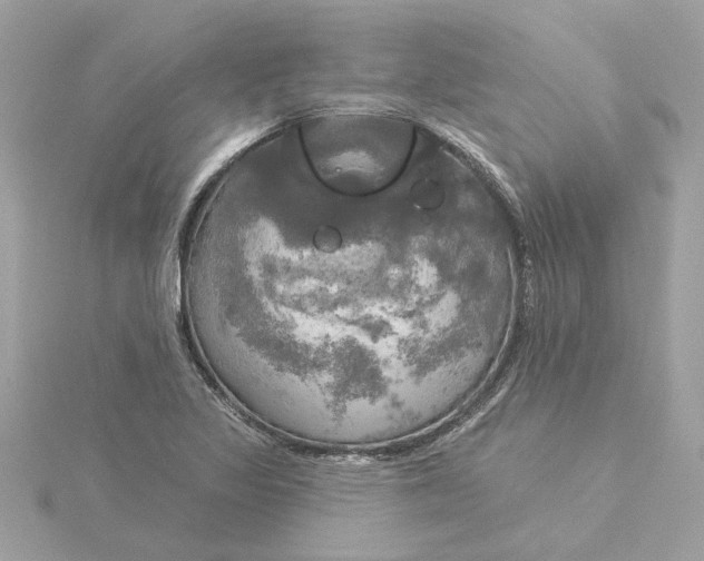 X0000116031317200912041926