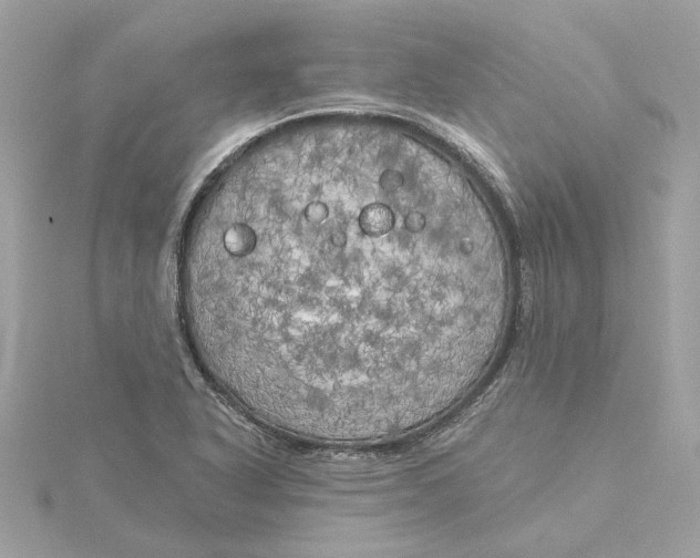 X0000116031318200912041926