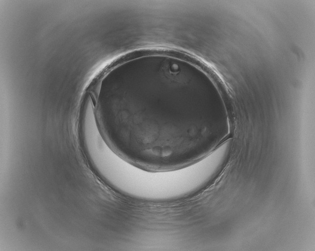 X0000116031319200912041926