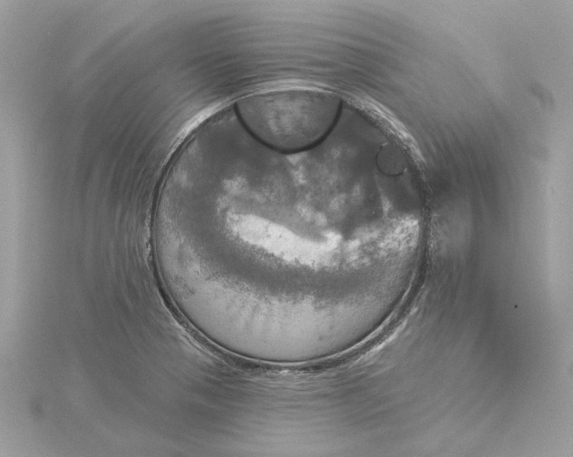 X0000116031321200912041927