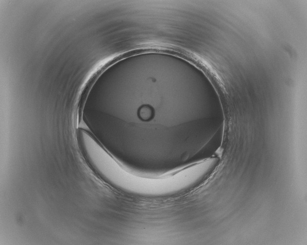 X0000116031323200912041927