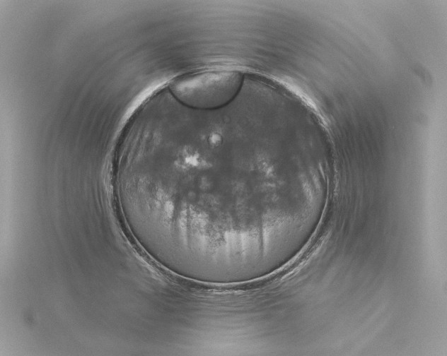 X0000116031325200912041927