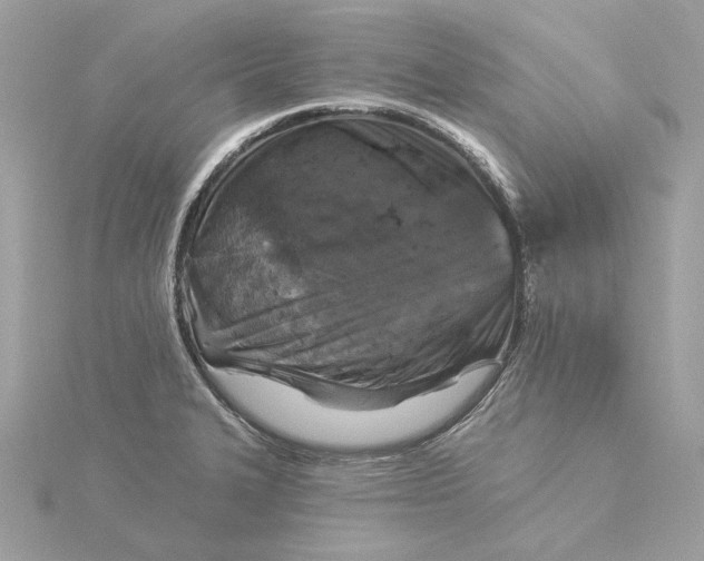 X0000116031327200912041927