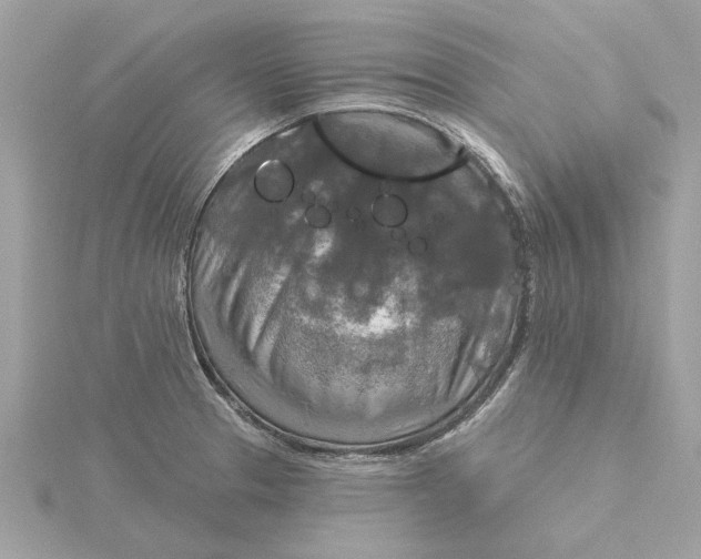 X0000116031329200912041927