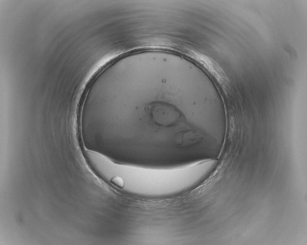 X0000116031331200912041927