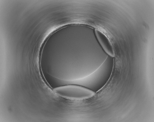 X0000116031334200912041927