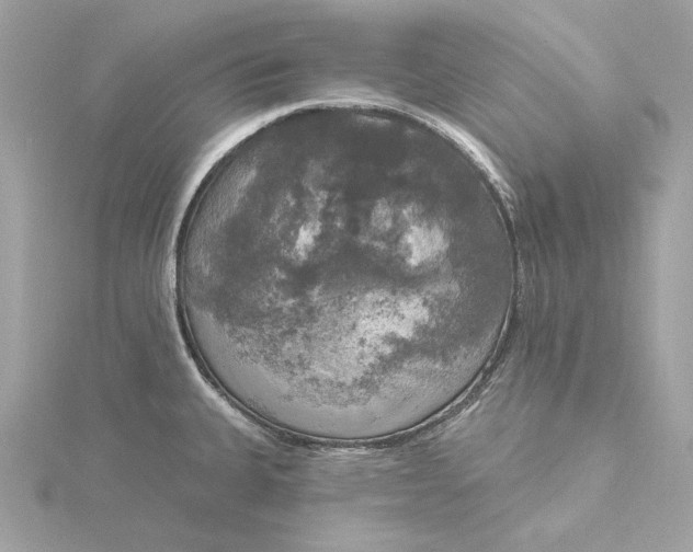 X0000116031335200912041927