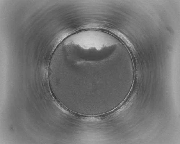 X0000116031337200912041927