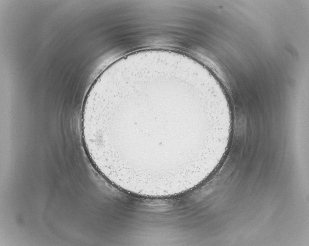 X0000116031338200912041927