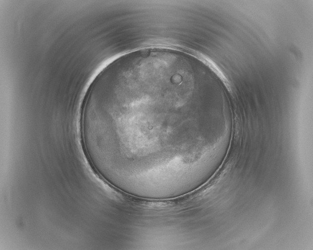 X0000116031339200912041927