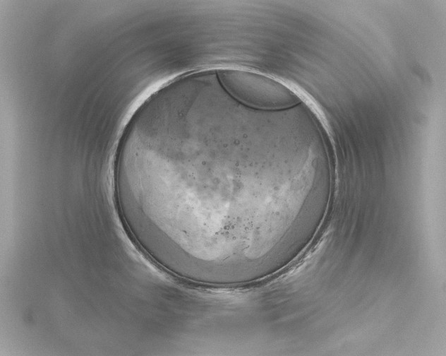 X0000116031341200912041927