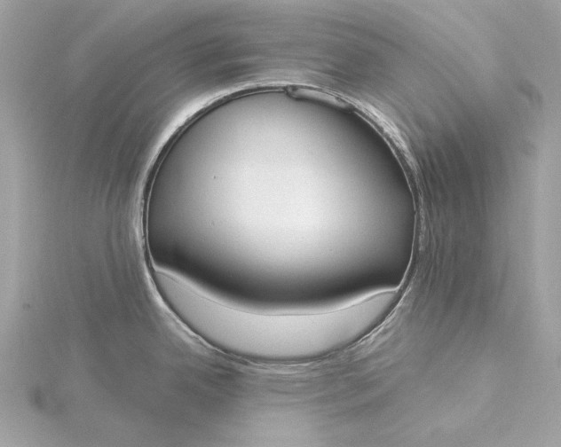 X0000116031342200912041927