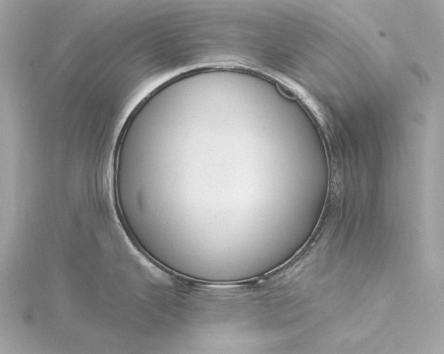 X0000116031343200912041927