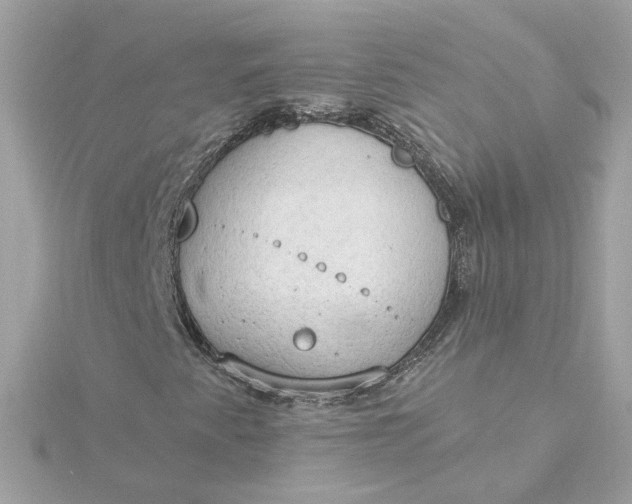 X0000116031345200912041926