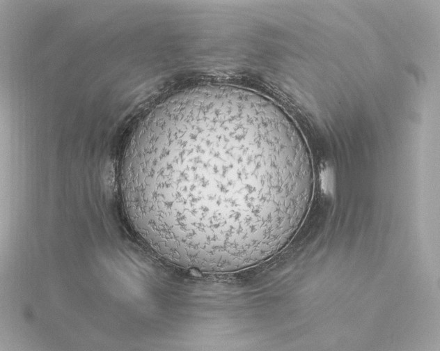 X0000116031347200912041926