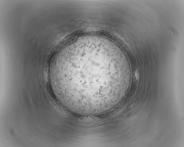 X0000116031348200912041926