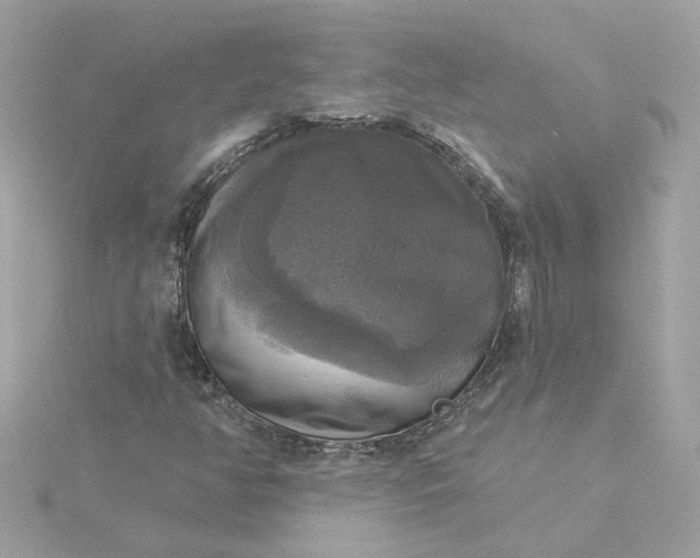 X0000116031350200912041926