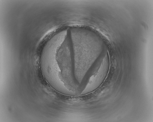 X0000116031351200912041926