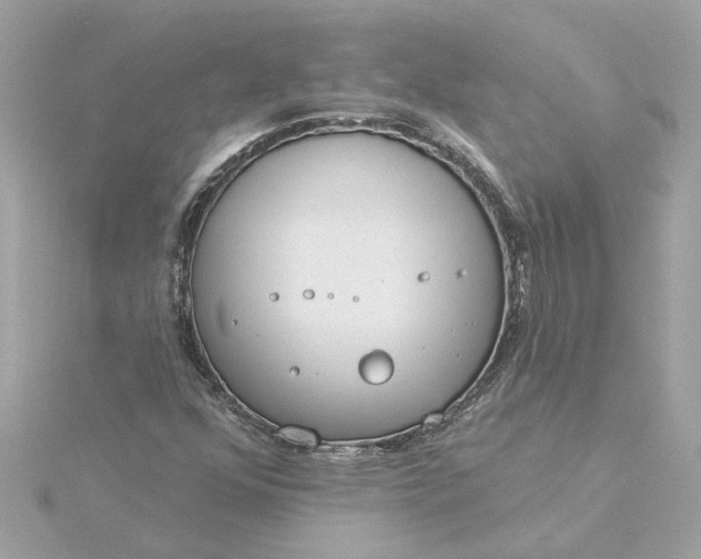 X0000116031352200912041926