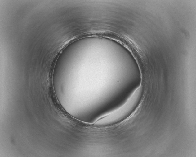 X0000116031353200912041926