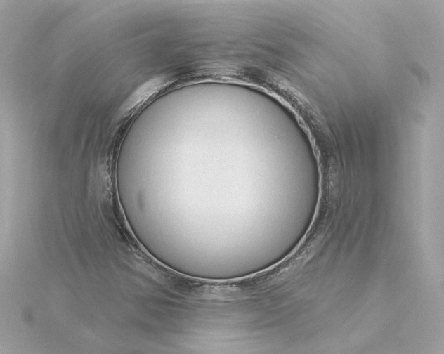 X0000116031354200912041926