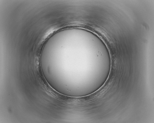 X0000116031355200912041926