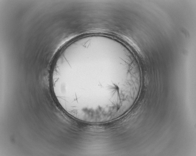 X0000116031356200912041926