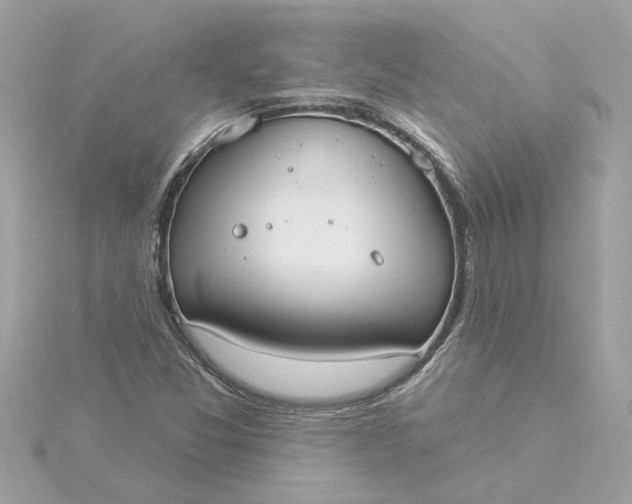 X0000116031357200912041926