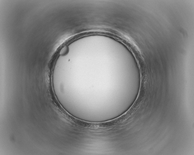 X0000116031360200912041926