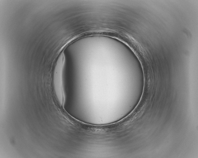 X0000116031361200912041926