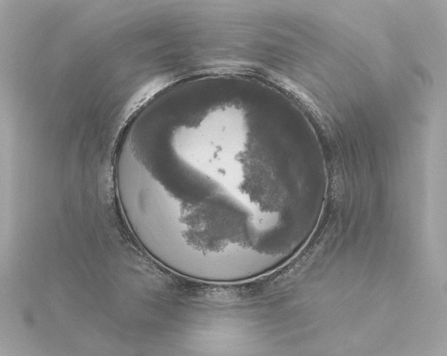 X0000116031362200912041926