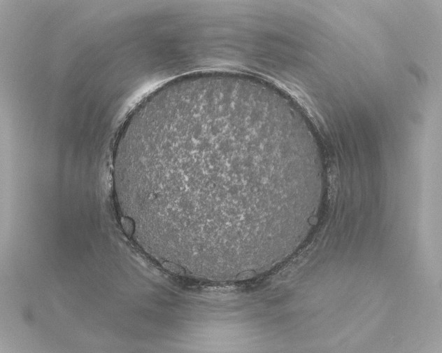 X0000116031363200912041926