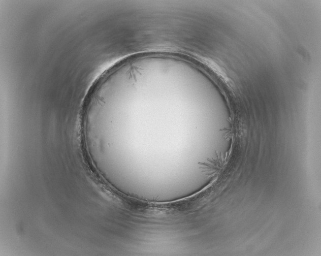 X0000116031364200912041926