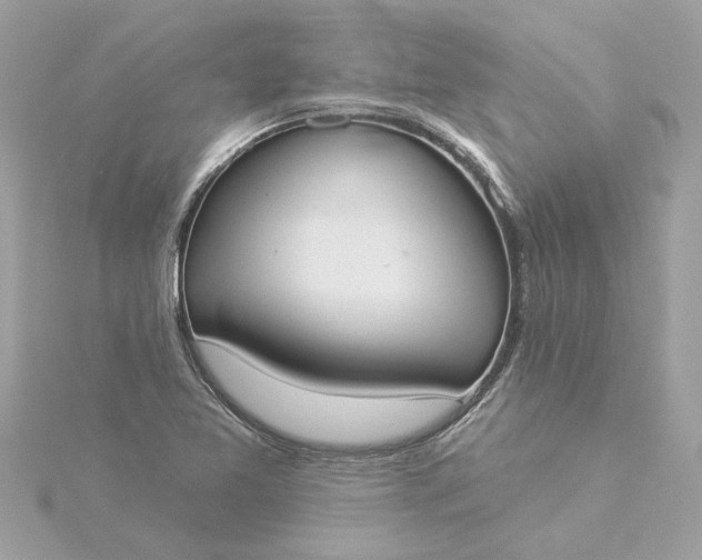 X0000116031365200912041926