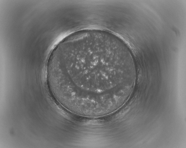 X0000116031367200912041926