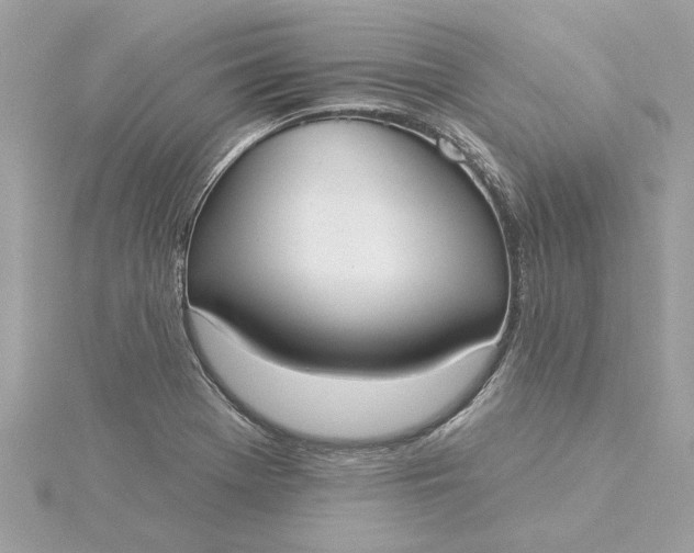 X0000116031369200912041926