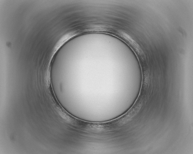 X0000116031370200912041926