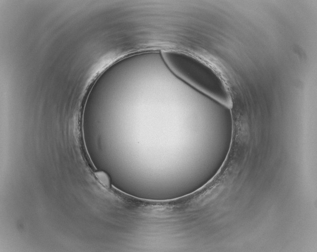 X0000116031373200912041926